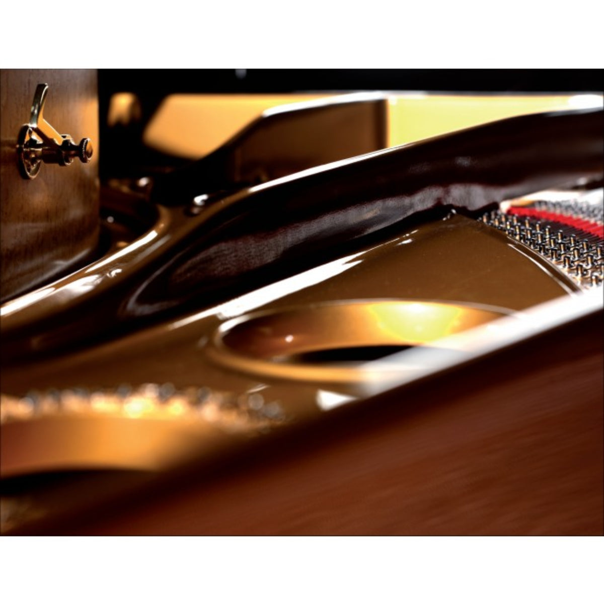 Đàn Grand Piano August Förster 215