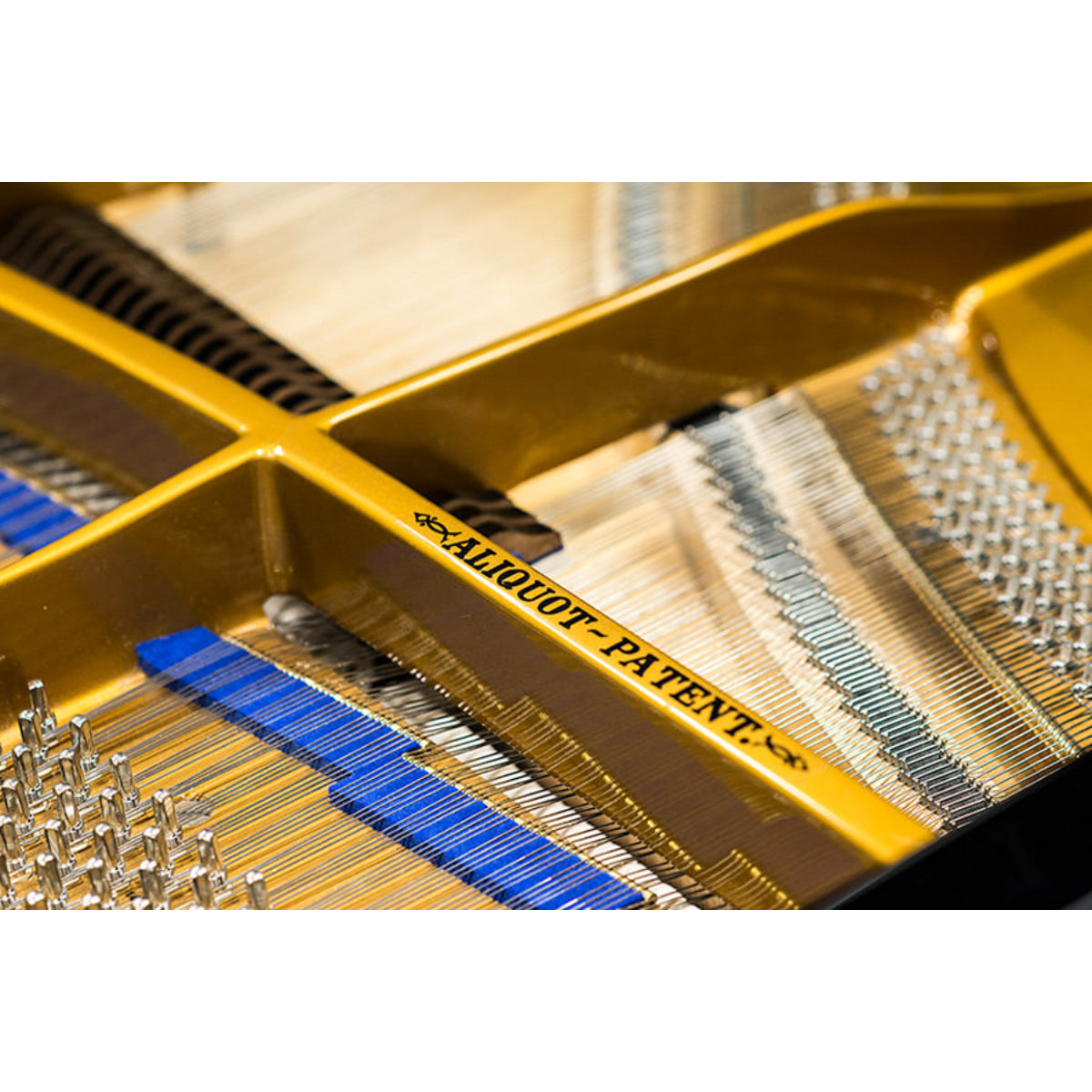 Đàn Grand Piano Blüthner Model 6