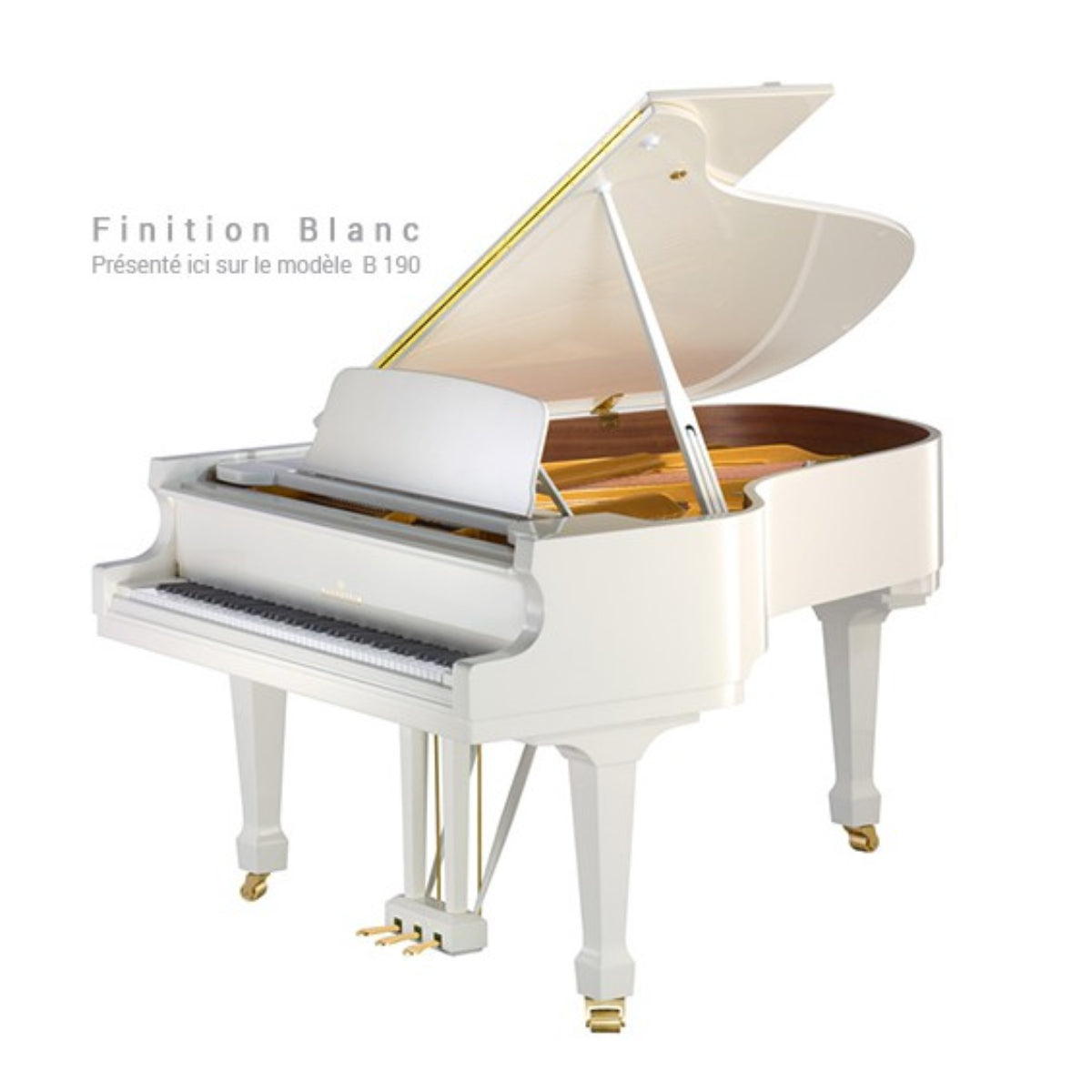 Đàn Grand Piano C. Bechstein Academy A208