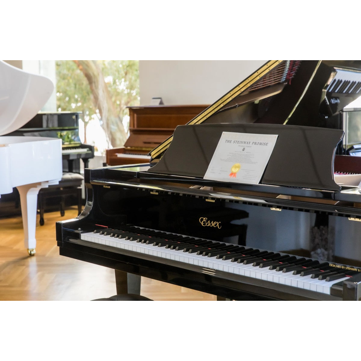 Đàn Grand Piano Essex EGP155C
