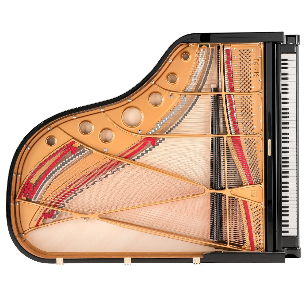 Đàn Grand Piano Fazioli F198