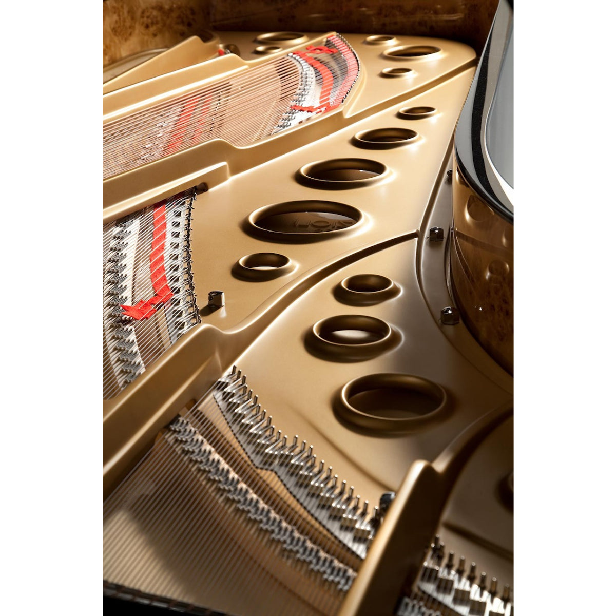 Đàn Grand Piano Fazioli F308