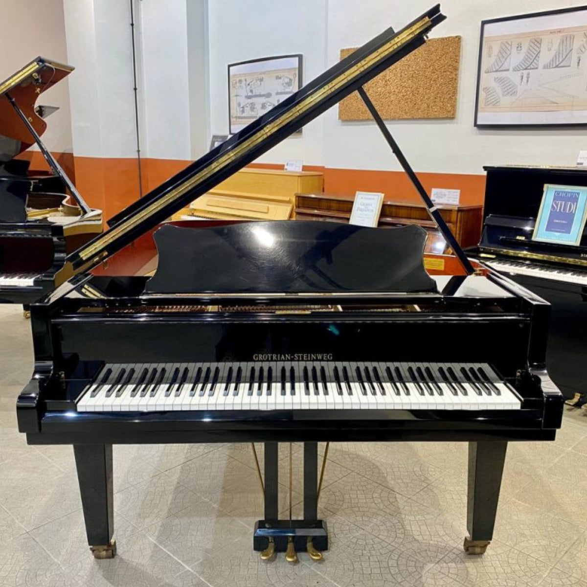 Đàn Grand Piano Grotrian G208
