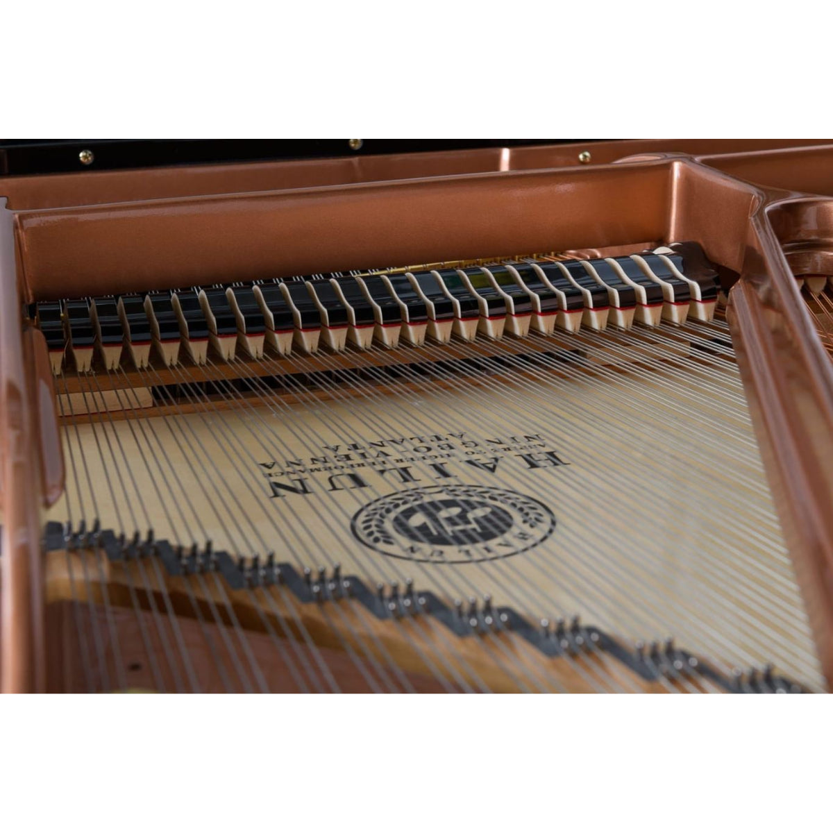 Đàn Grand Piano Hailun HG151