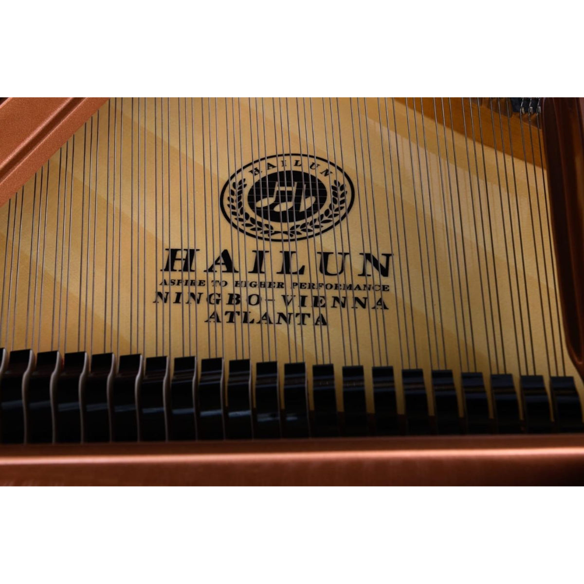Đàn Grand Piano Hailun HG161