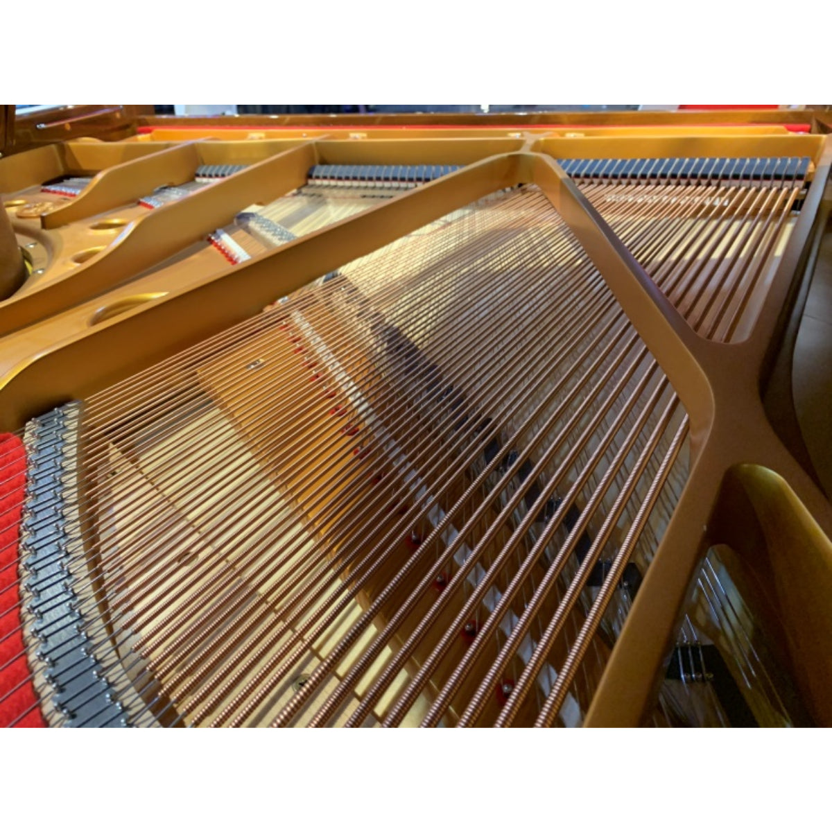 Đàn Grand Piano Kayserburg KA160