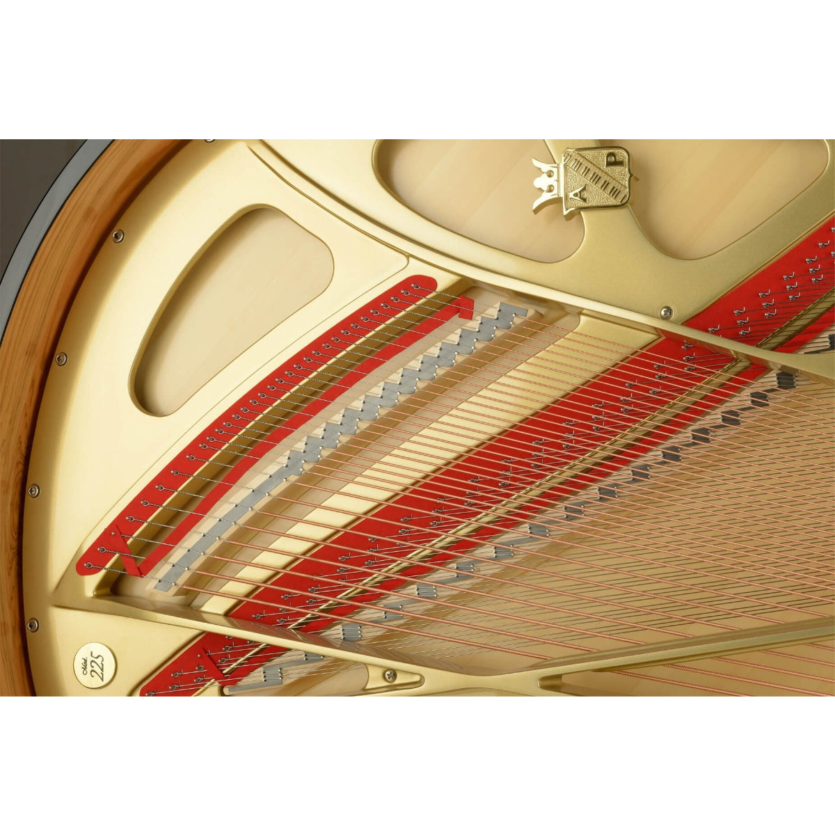 Đàn Grand Piano Petrof 225, Ant. Petrof  Series