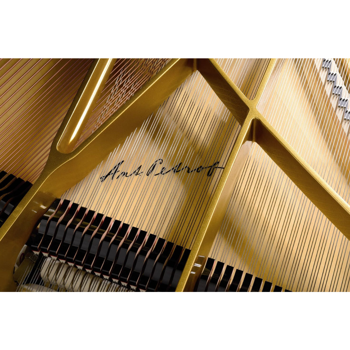 Đàn Grand Piano Petrof 275, Ant. Petrof  Series
