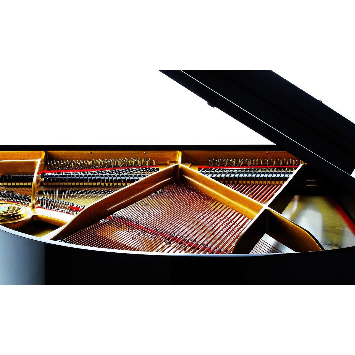 Đàn Grand Piano Petrof P159 Bora