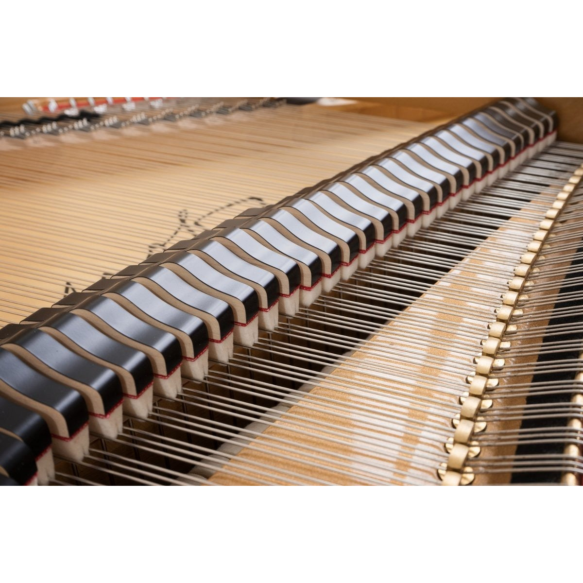 Đàn Grand Piano Petrof P173 Breeze Demichippendale