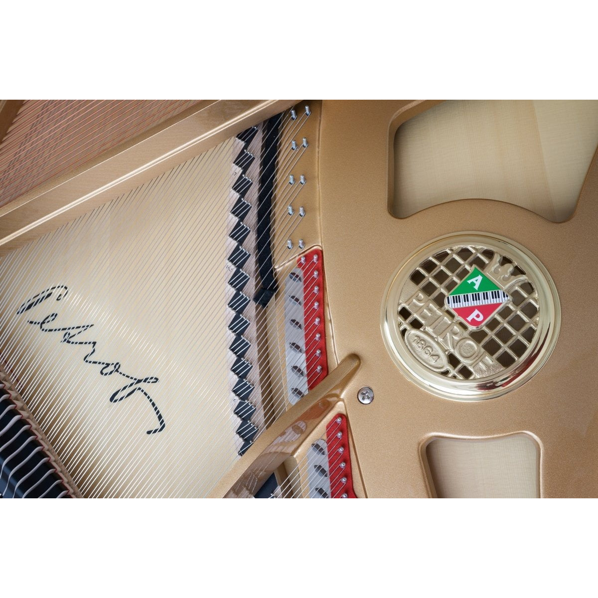 Đàn Grand Piano Petrof P173 Breeze Demichippendale