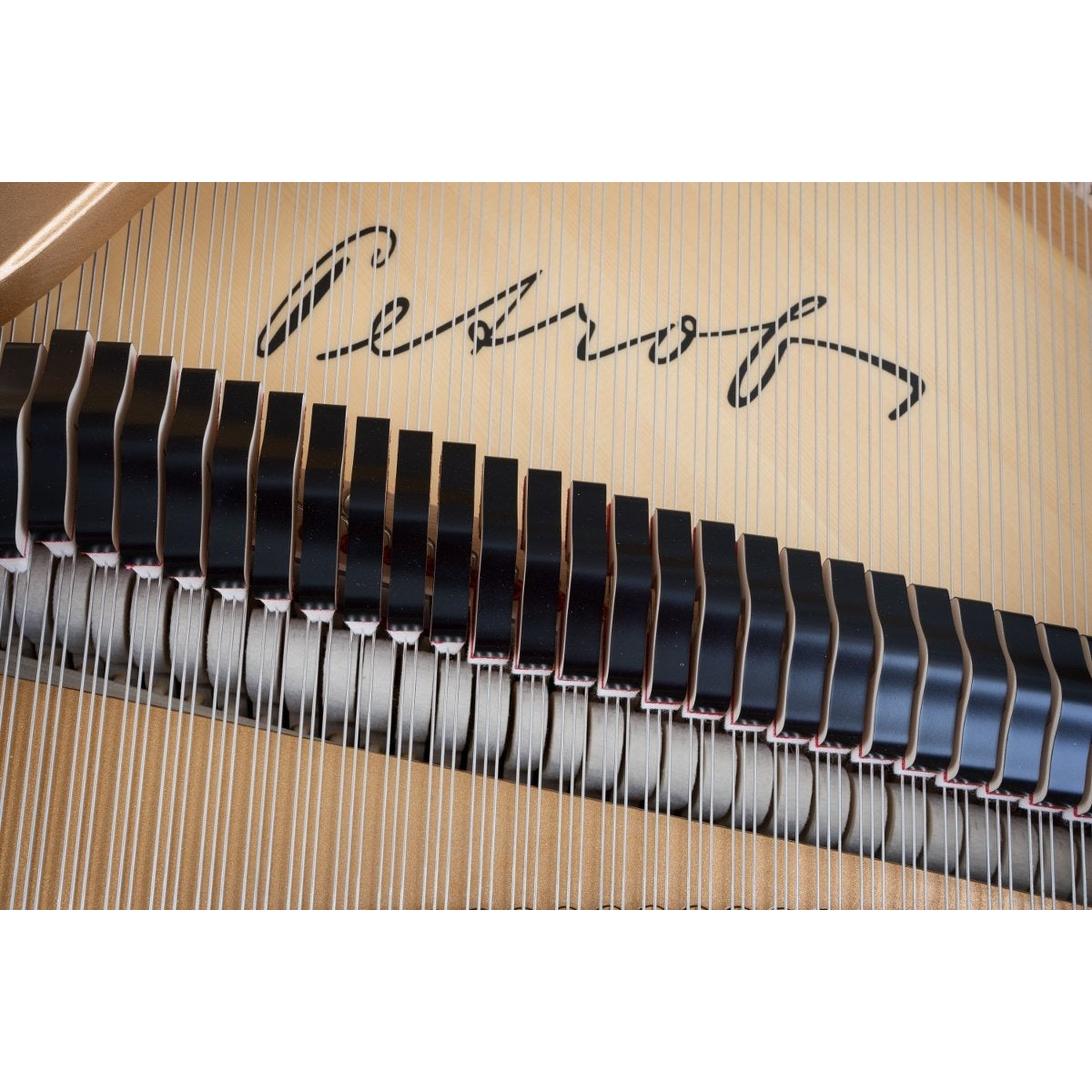 Đàn Grand Piano Petrof P173 Breeze