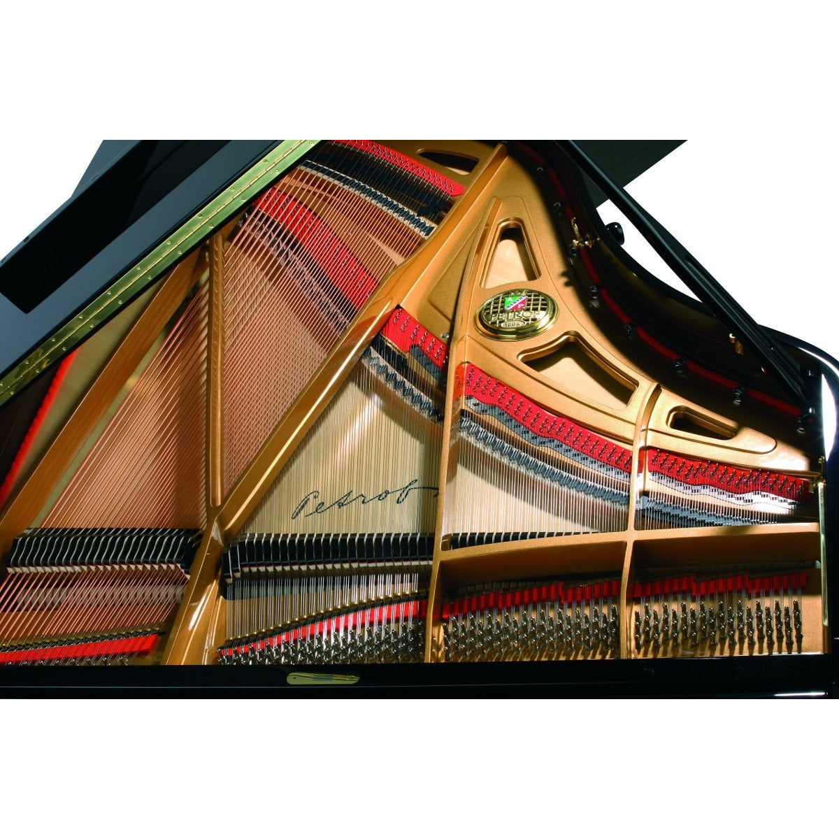 Đàn Grand Piano Petrof P194 Storm