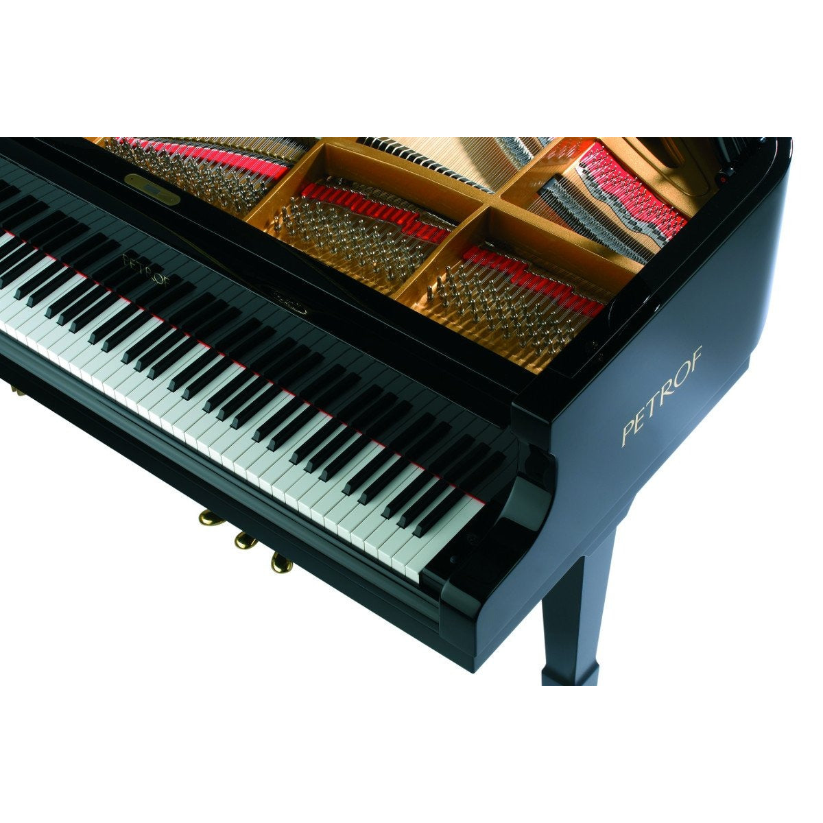 Đàn Grand Piano Petrof P194 Storm