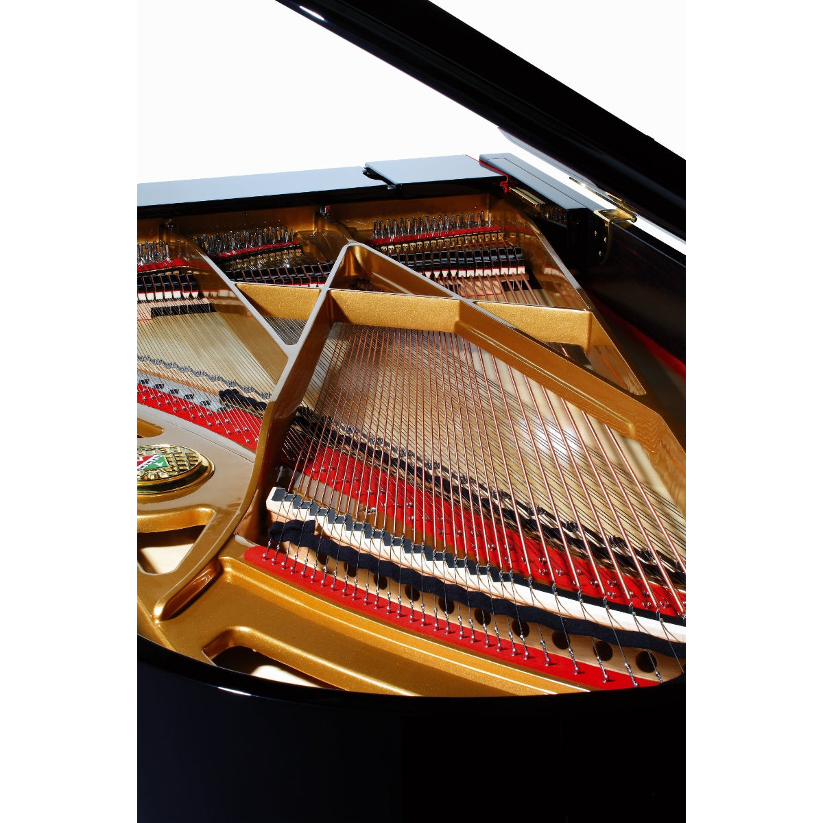 Đàn Grand Piano Petrof P237 Monsoon