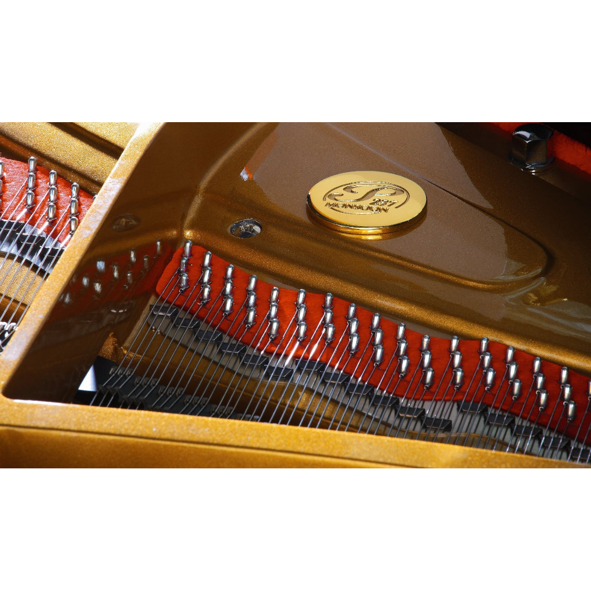 Đàn Grand Piano Petrof P237 Monsoon