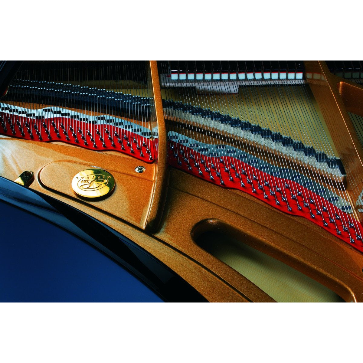 Đàn Grand Piano Petrof P284 Mistral