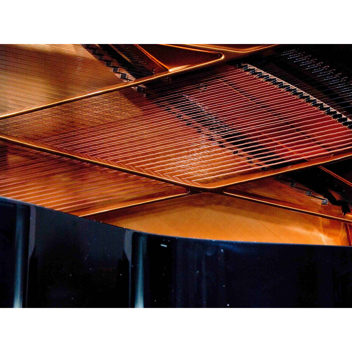 Đàn Grand Piano Ravenscroft Model 220