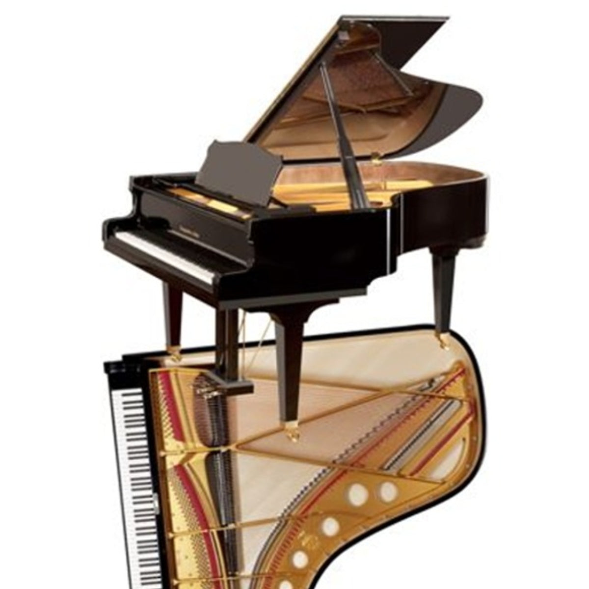 Đàn Grand Piano Steingraeber Bayreuth B192