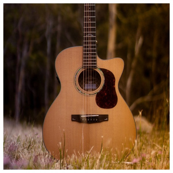 Đàn Guitar Acoustic Cort Gold-OC6