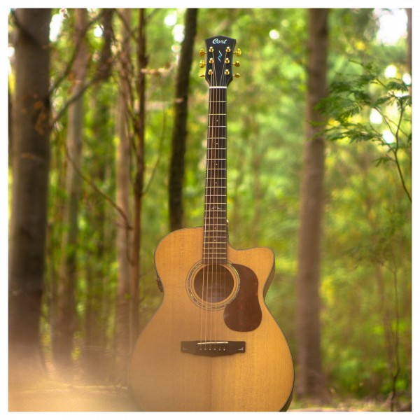Đàn Guitar Acoustic Cort Gold-OC6