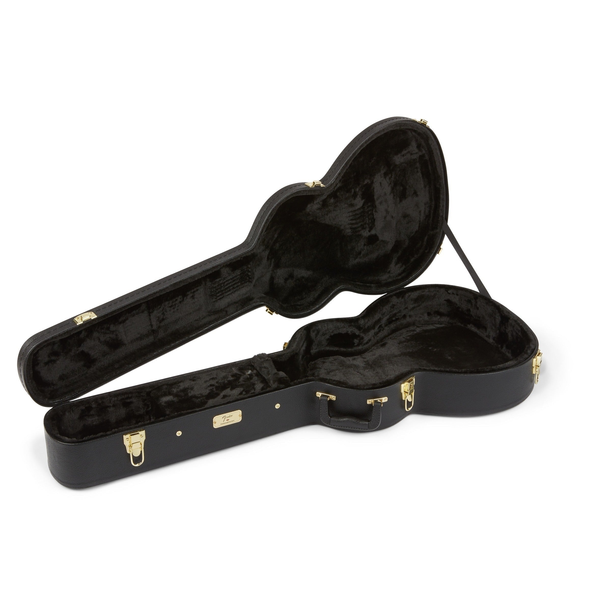 Đàn Guitar Acoustic Fender PS-220E Parlor, Natural