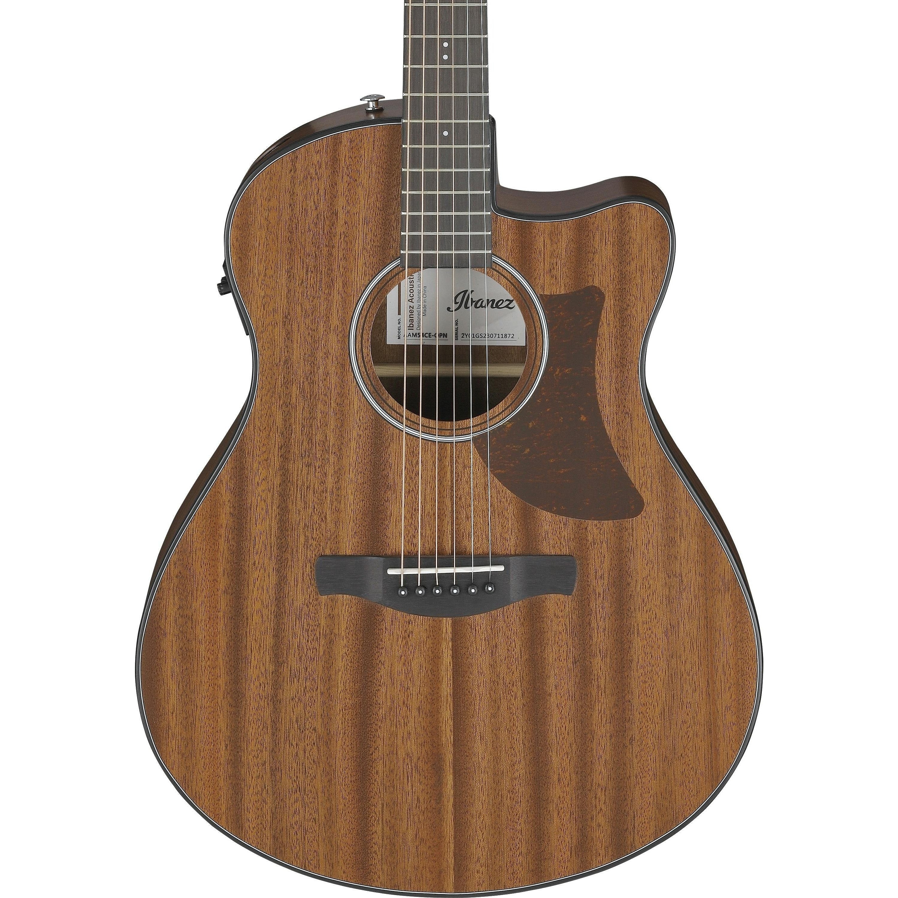 Đàn Guitar Acoustic Ibanez AAM54CE, Open Pore Natural