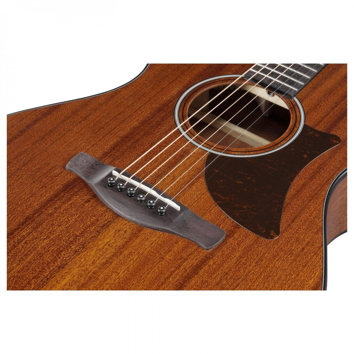 Đàn Guitar Acoustic Ibanez AAM54, Open Pore Natural