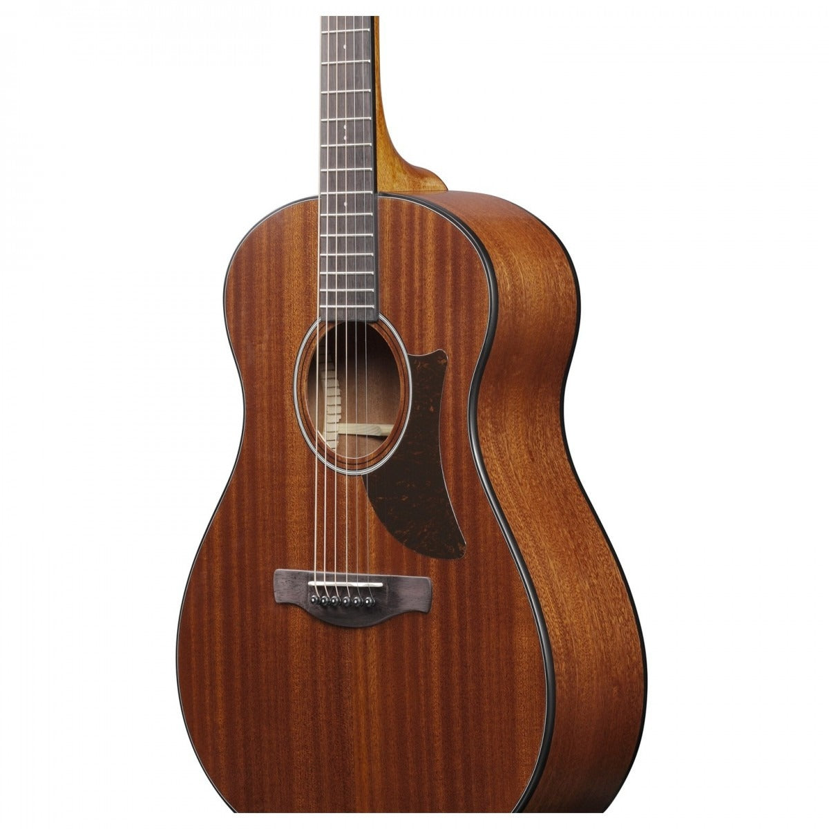 Đàn Guitar Acoustic Ibanez AAM54, Open Pore Natural