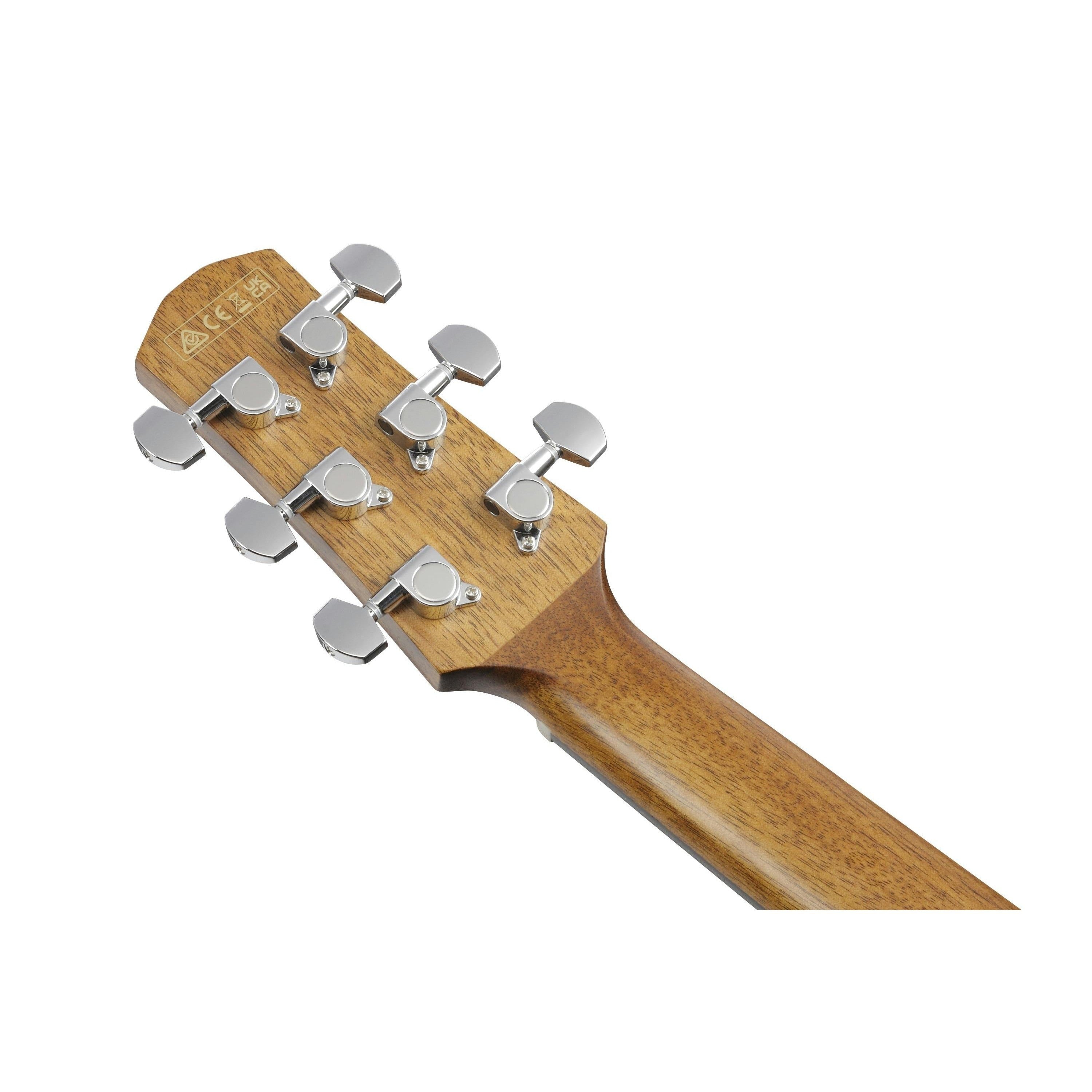 Đàn Guitar Acoustic Ibanez AAM70CE, Transparent Charcoal Burst Low Gloss Top, Natural Open Pore Back and Sides