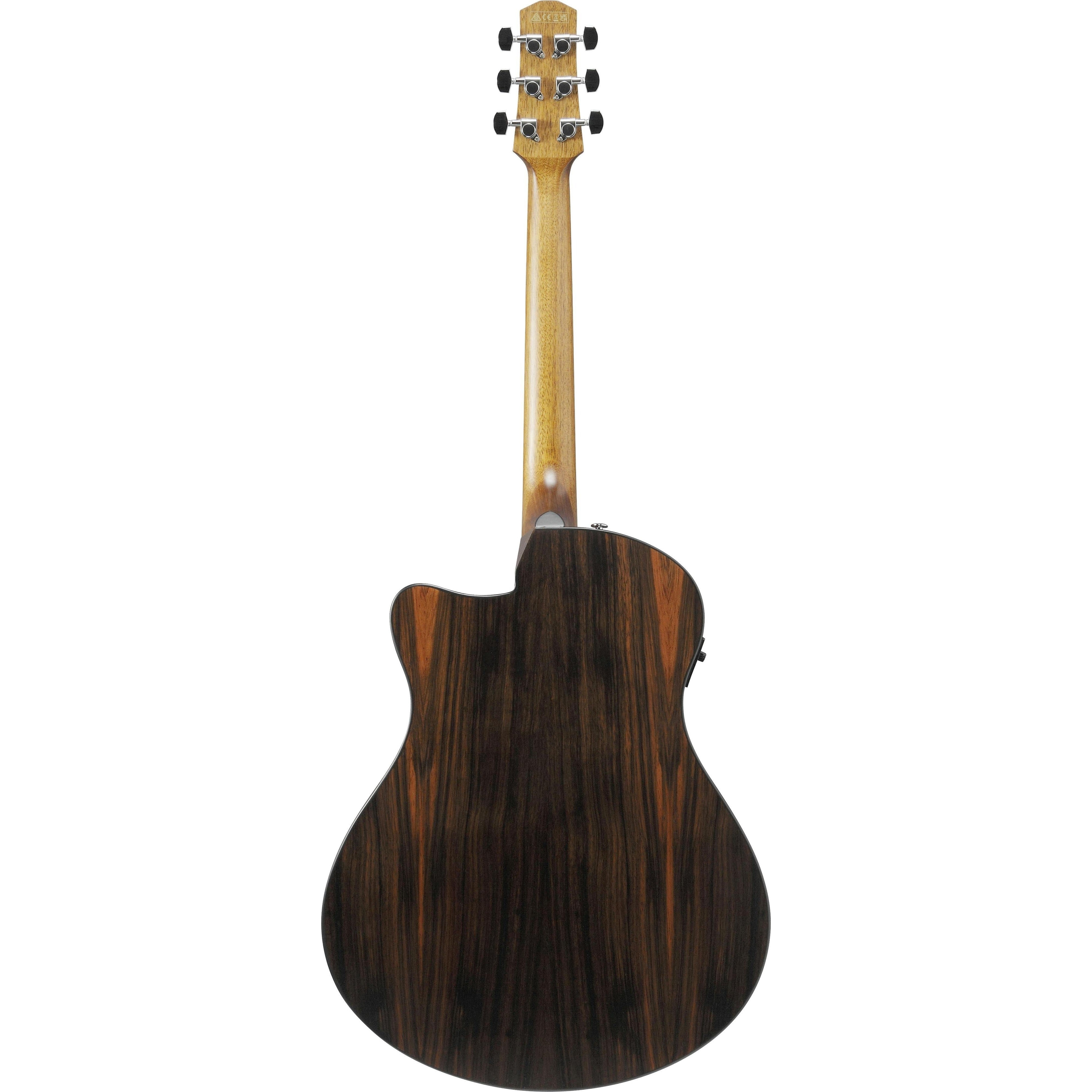 Đàn Guitar Acoustic Ibanez AAM70CE, Transparent Charcoal Burst Low Gloss Top, Natural Open Pore Back and Sides