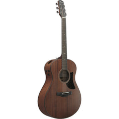 Đàn Guitar Acoustic Ibanez AAM740E, Natural