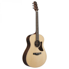 Đàn Guitar Acoustic Ibanez AAM780E, Natural