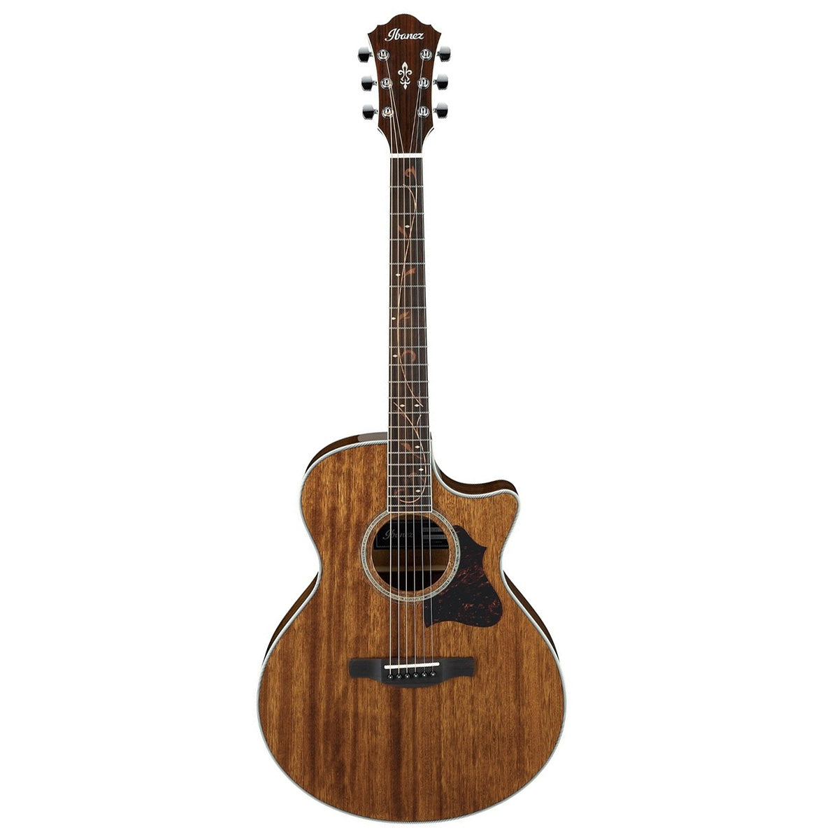 Đàn Guitar Acoustic Ibanez AE245, Natural High Gloss