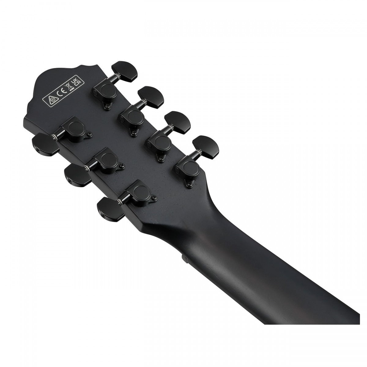 Đàn Guitar Acoustic Ibanez AEG721, Black Out