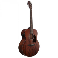 Đàn Guitar Acoustic  Ibanez AJ54E, Open Pore Natural