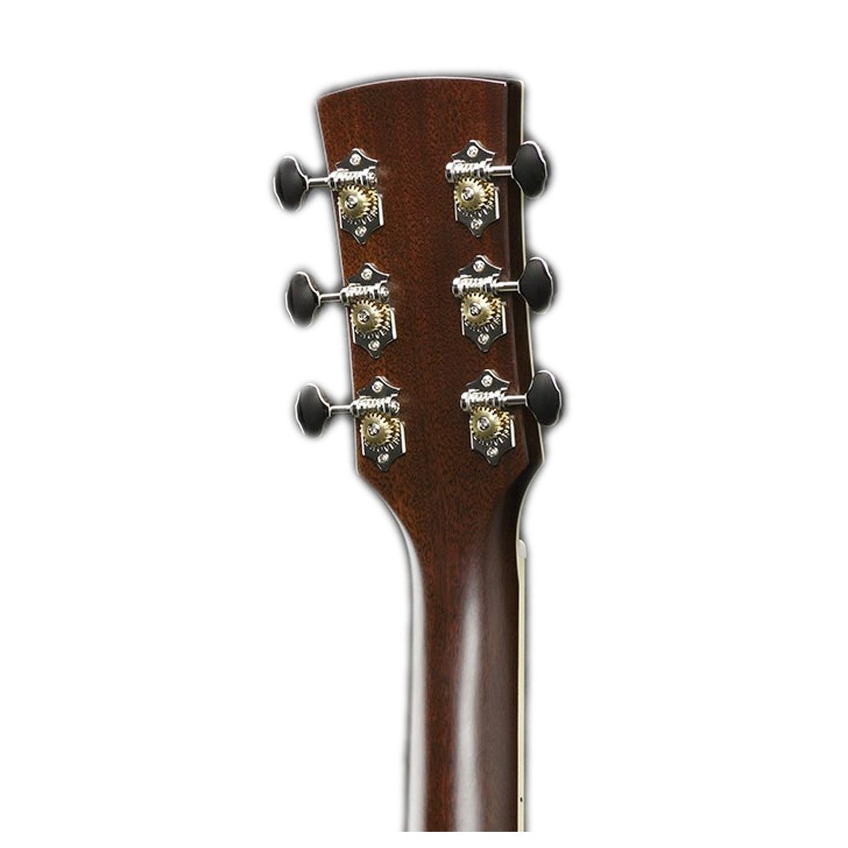 Đàn Guitar Acoustic Ibanez AVD10E