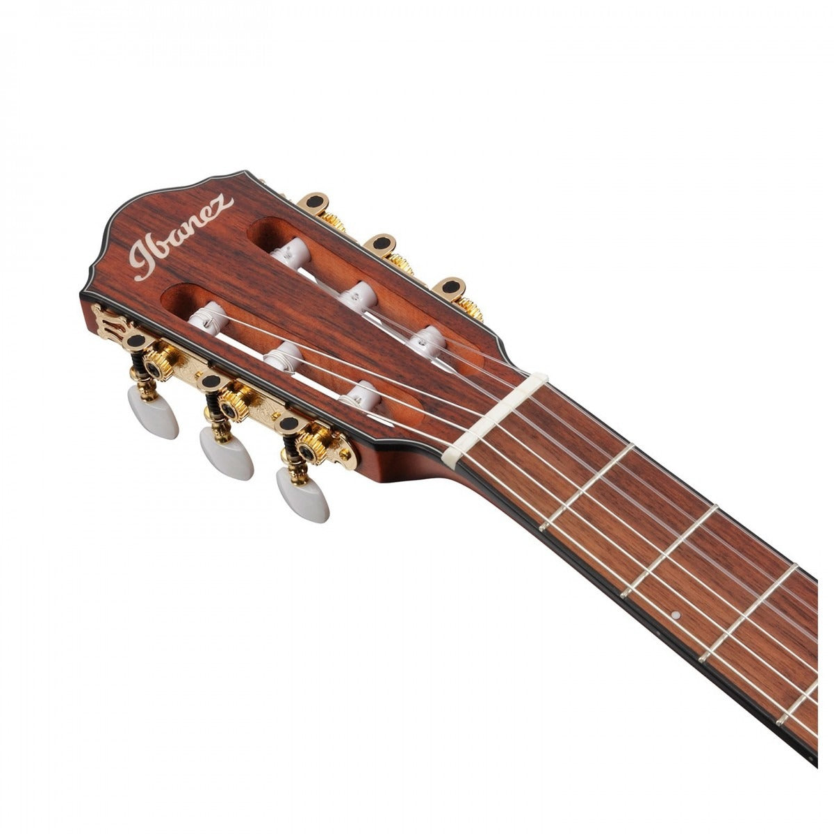 Đàn Guitar Acoustic Ibanez FRH10N, Rose Gold Metallic Flat  