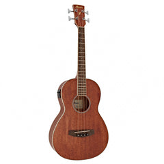 Đàn Guitar Acoustic Ibanez PNB14E, Open Pore Natural