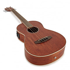 Đàn Guitar Acoustic Ibanez PNB14E, Open Pore Natural