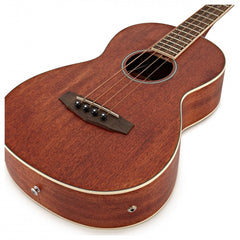 Đàn Guitar Acoustic Ibanez PNB14E, Open Pore Natural