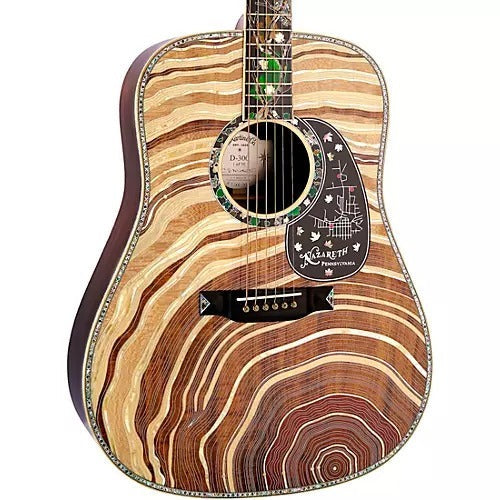 Đàn Guitar Acoustic Martin D-300 Limited Edition