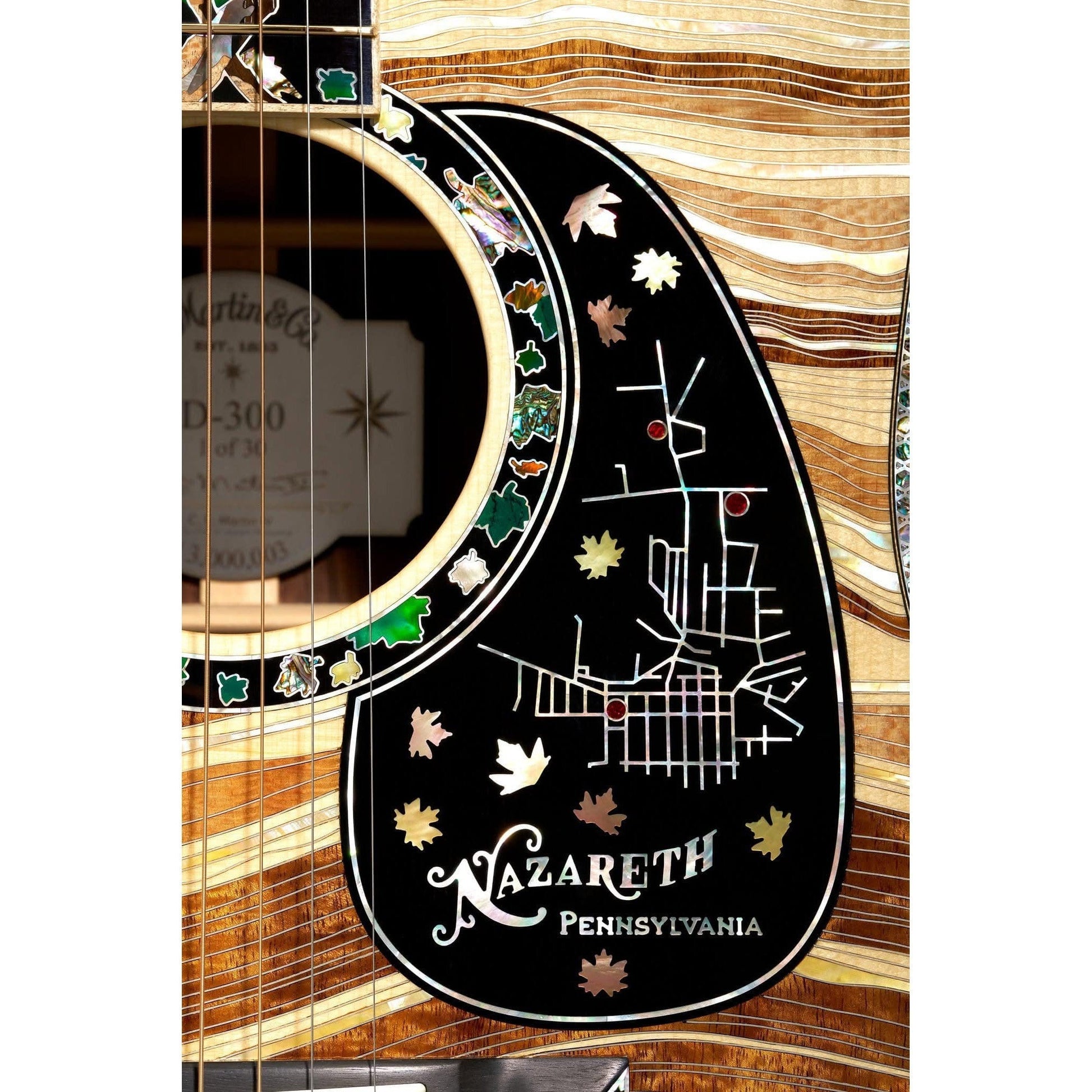 Đàn Guitar Acoustic Martin D-300 Limited Edition