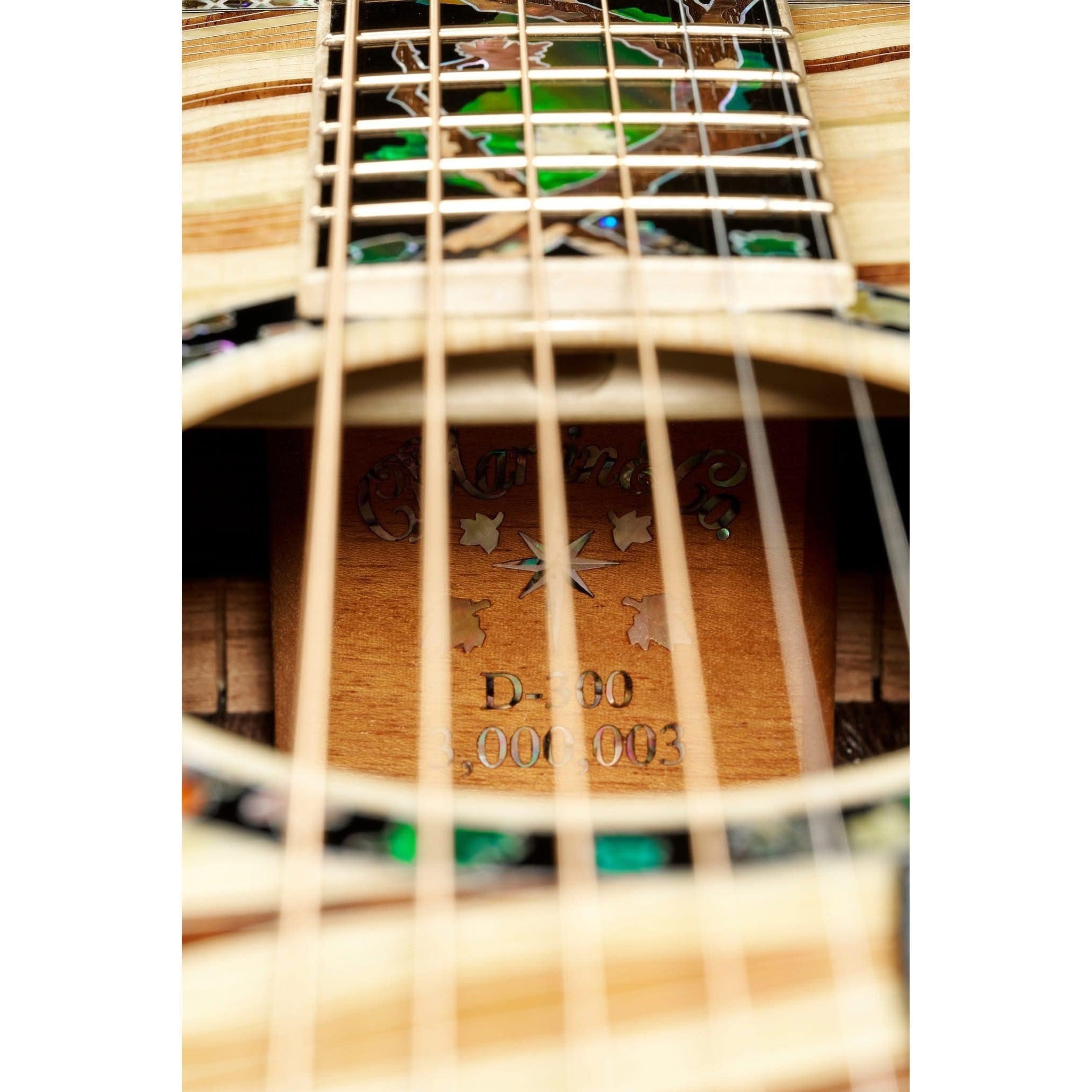 Đàn Guitar Acoustic Martin D-300 Limited Edition