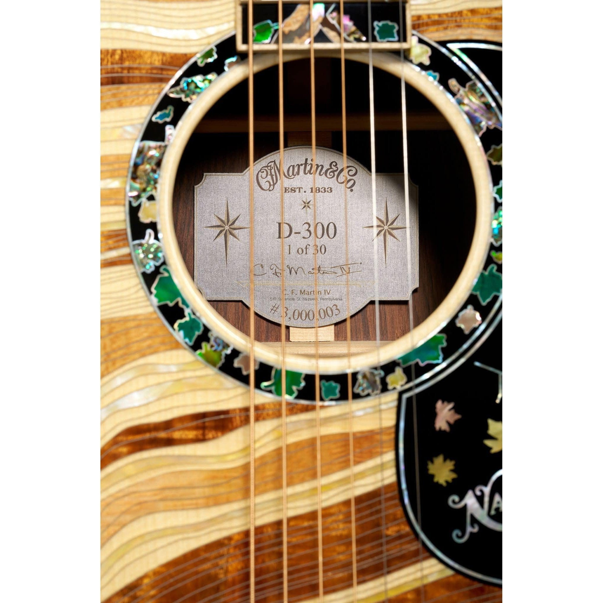 Đàn Guitar Acoustic Martin D-300 Limited Edition