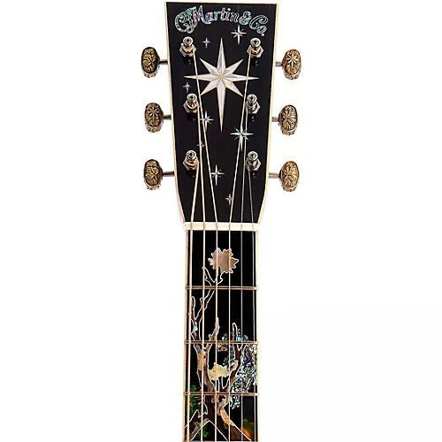 Đàn Guitar Acoustic Martin D-300 Limited Edition