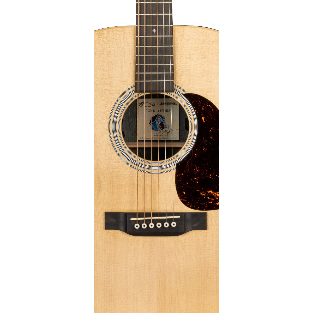 Đàn Guitar Acoustic Martin D-X2E Billy Strings