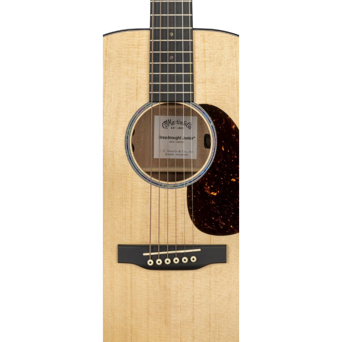 Đàn Guitar Acoustic Martin D Jr-E