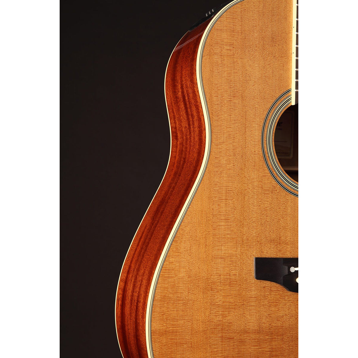 Đàn Guitar Acoustic Takamine CRN-TS1