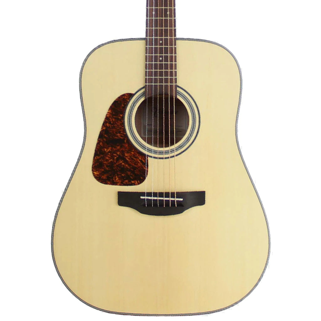 Đàn Guitar Acoustic Takamine GD10